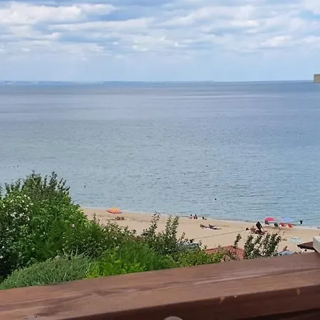 свети йоан кръстител - San Juan Bautista *