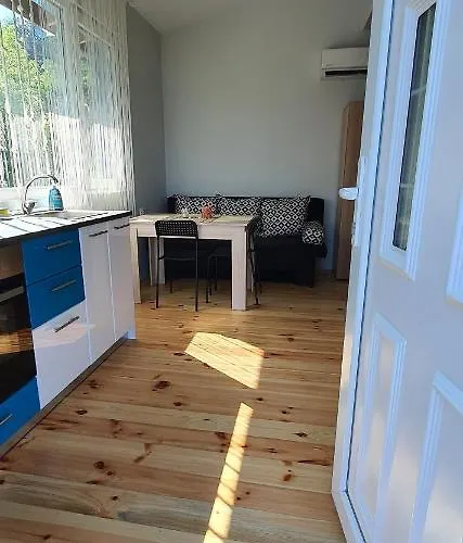 свети йоан кръстител - San Juan Bautista Varna