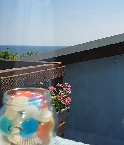 свети йоан кръстител - San Juan Bautista Villa