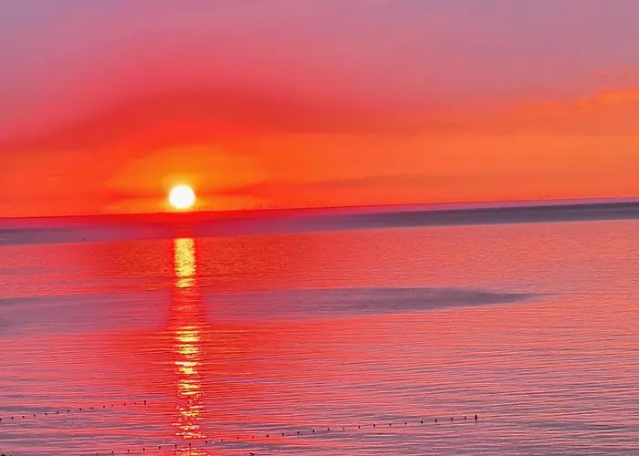 свети йоан кръстител - San Juan Bautista 바르나