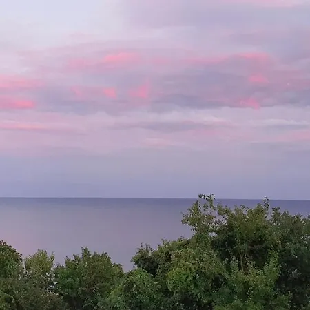 свети йоан кръстител - San Juan Bautista Villa Warna