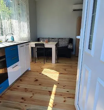 свети йоан кръстител - San Juan Bautista Warna