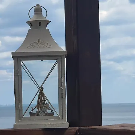 свети йоан кръстител - San Juan Bautista Warna