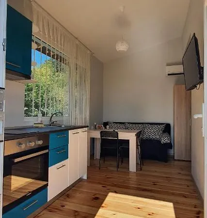 свети йоан кръстител - San Juan Bautista Warna