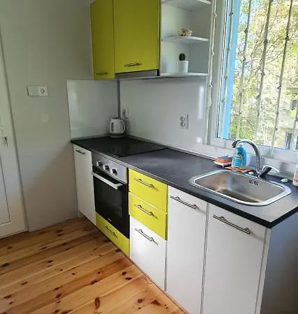 свети йоан кръстител - San Juan Bautista * Warna