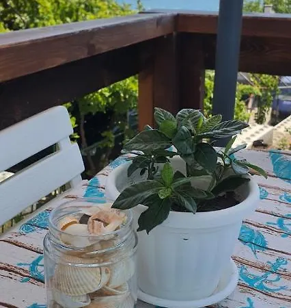 свети йоан кръстител - San Juan Bautista *