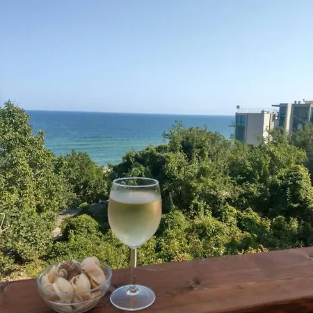 свети йоан кръстител - San Juan Bautista Villa *