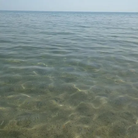 свети йоан кръстител - San Juan Bautista * Warna