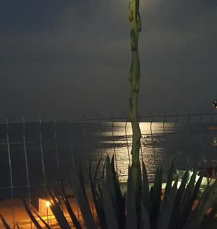 свети йоан кръстител - San Juan Bautista Warna