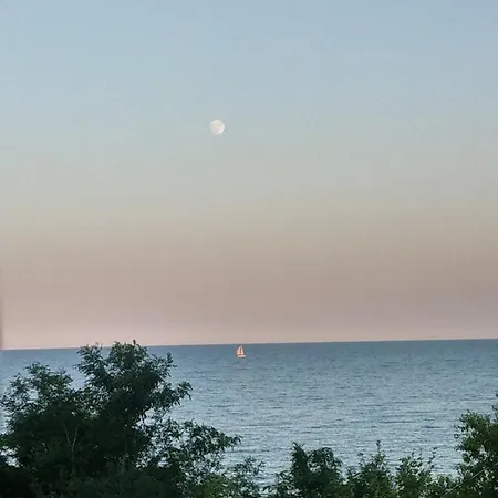 свети йоан кръстител - San Juan Bautista Warna