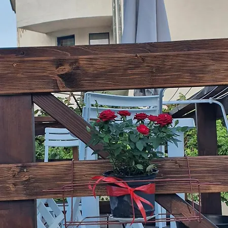 свети йоан кръстител - San Juan Bautista Villa *