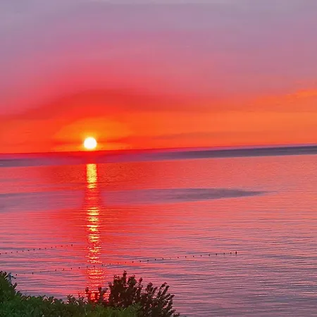 свети йоан кръстител - San Juan Bautista Varna