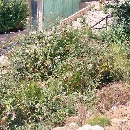 свети йоан кръстител - San Juan Bautista Villa Varna