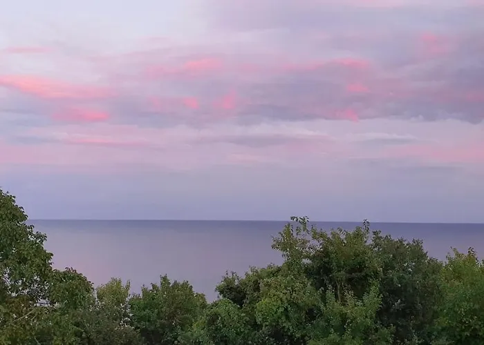 свети йоан кръстител - San Juan Bautista Vilă Varna