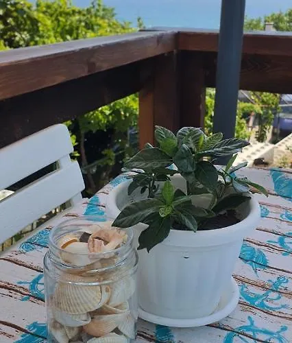 свети йоан кръстител - San Juan Bautista *