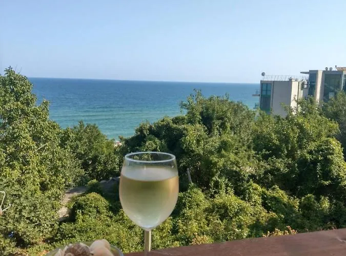 свети йоан кръстител - San Juan Bautista Vilă *