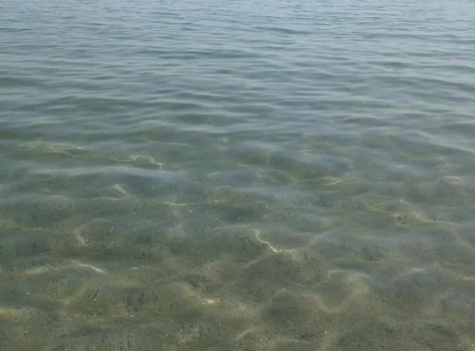 свети йоан кръстител - San Juan Bautista * Varna