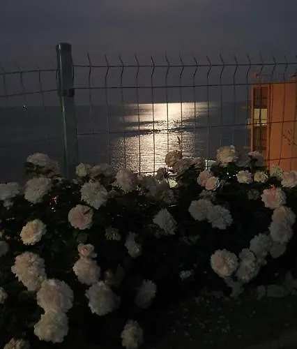 свети йоан кръстител - San Juan Bautista *